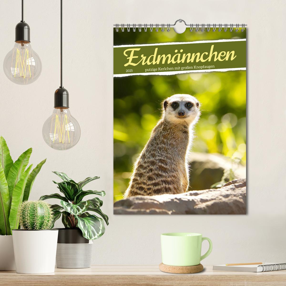 Bild: 9783435890996 | Erdmännchen, putzige Kerlchen mit großen Knopfaugen (Wandkalender...