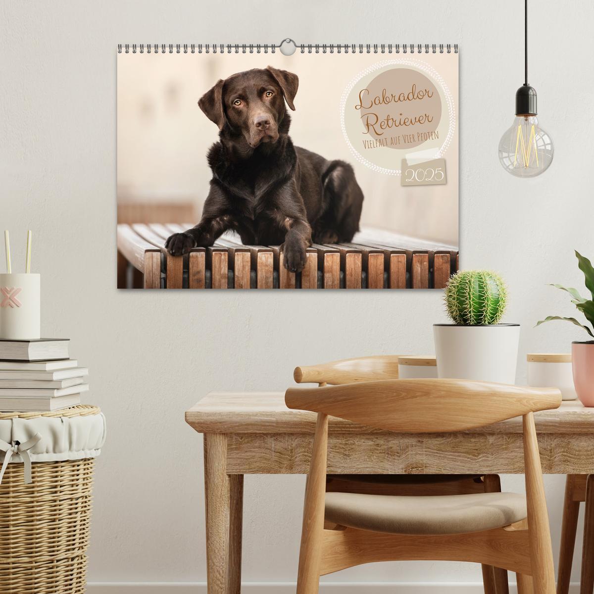 Bild: 9783383960284 | Labrador Retriever - Vielfalt auf Vier Pfoten (Wandkalender 2025...