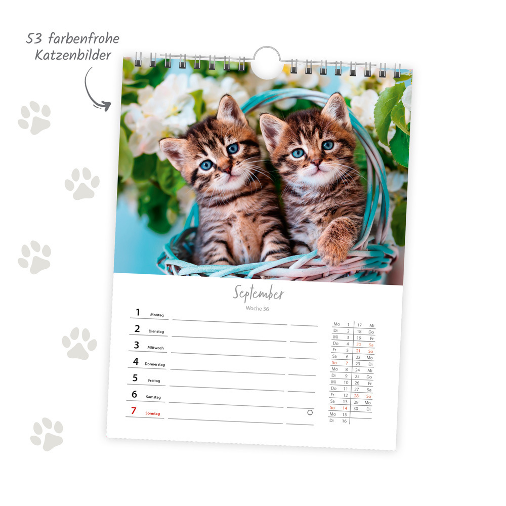 Bild: 9783988022707 | Trötsch Wochenkalender zum Hängen Katzen 2025 | Wandkalender | Co.KG