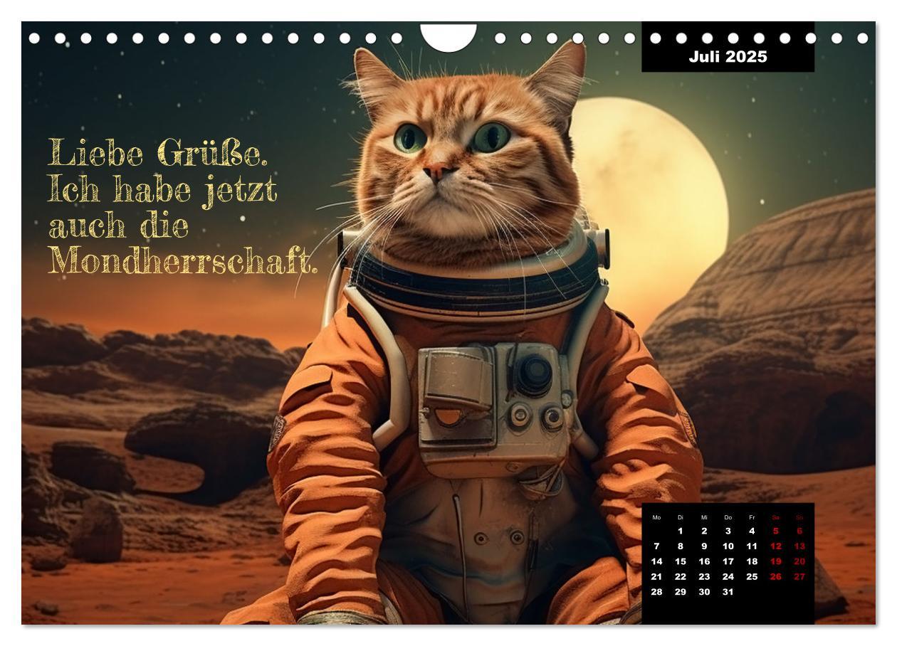 Bild: 9783383834912 | Katzen können alles, außer traurig. (Wandkalender 2025 DIN A4...