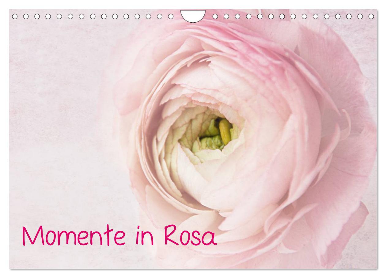 Cover: 9783435831036 | Momente in Rosa (Wandkalender 2025 DIN A4 quer), CALVENDO...