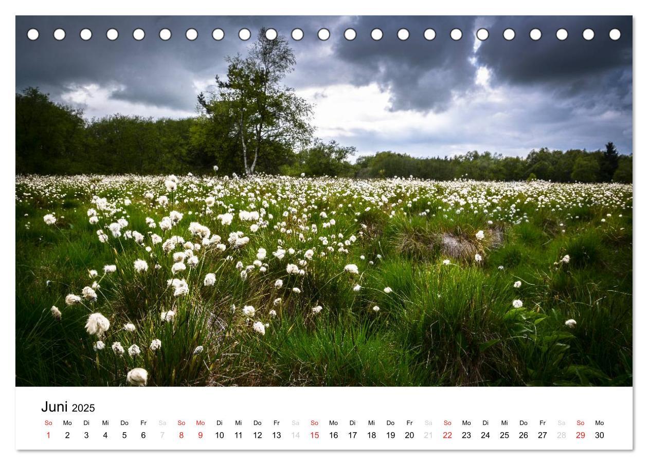 Bild: 9783435498673 | Naturerlebnis im Biosphärenreservat Rhön (Tischkalender 2025 DIN A5...