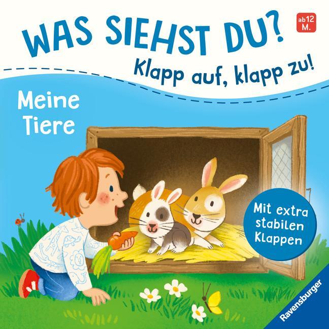 Cover: 9783473418169 | Was siehst du? Klapp auf, klapp zu! Meine Tiere | Sandra Grimm | Buch