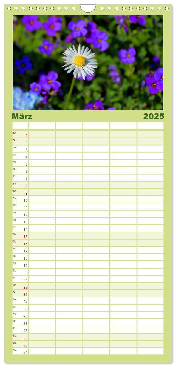 Bild: 9783457120347 | Familienplaner 2025 - Wildblumen 2025 mit 5 Spalten (Wandkalender,...