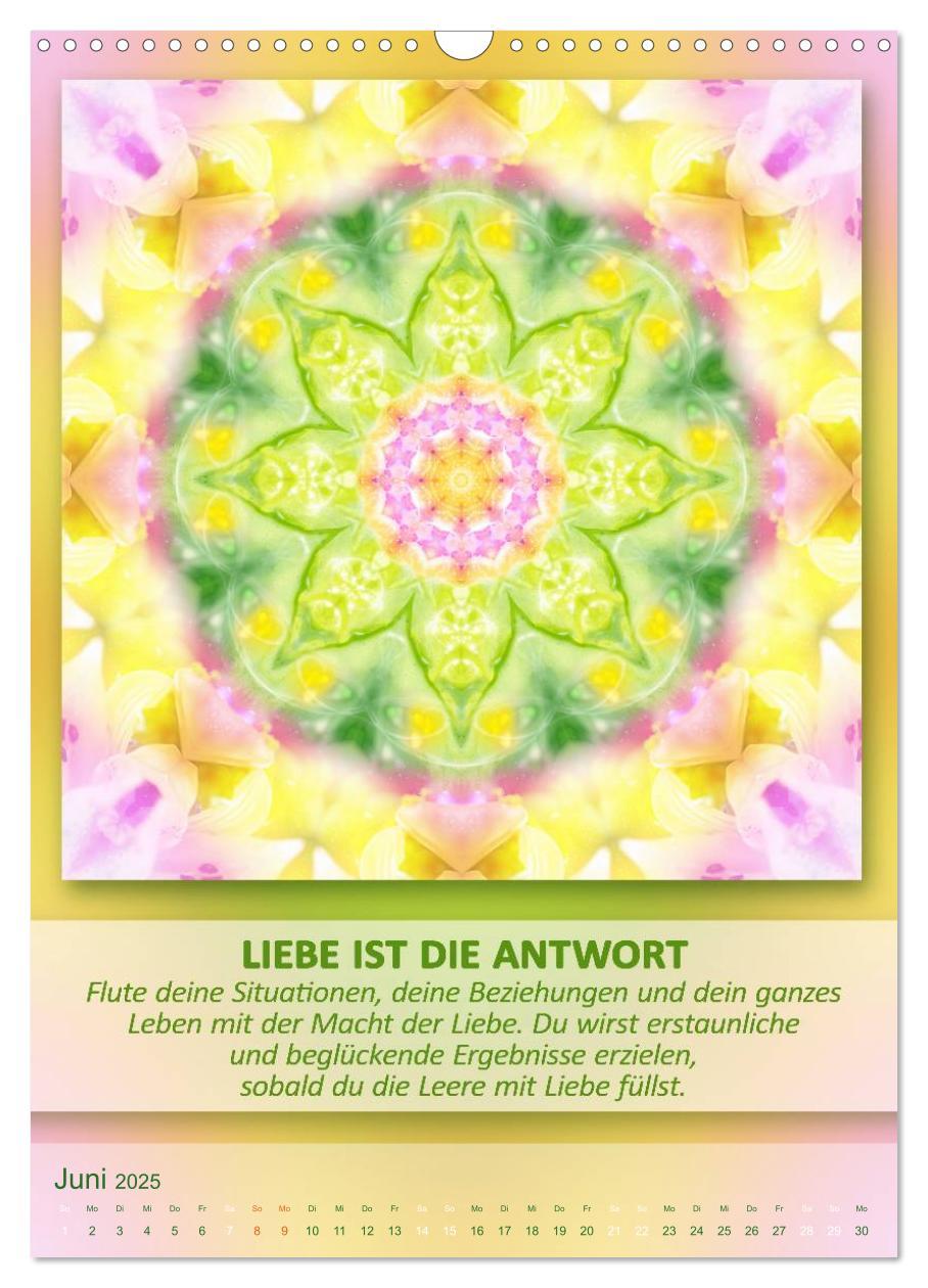 Bild: 9783457060650 | Light Energy Mandalas - Kalender - Vol. 2 (Wandkalender 2025 DIN A3...