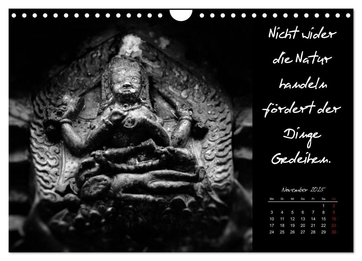 Bild: 9783435629305 | Worte des Buddha 2025 (Wandkalender 2025 DIN A4 quer), CALVENDO...