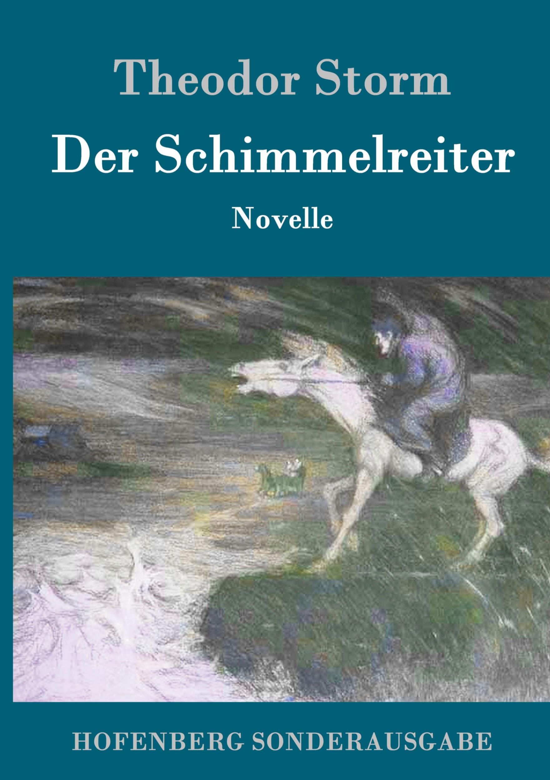 Cover: 9783843015523 | Der Schimmelreiter | Novelle | Theodor Storm | Buch | 104 S. | Deutsch