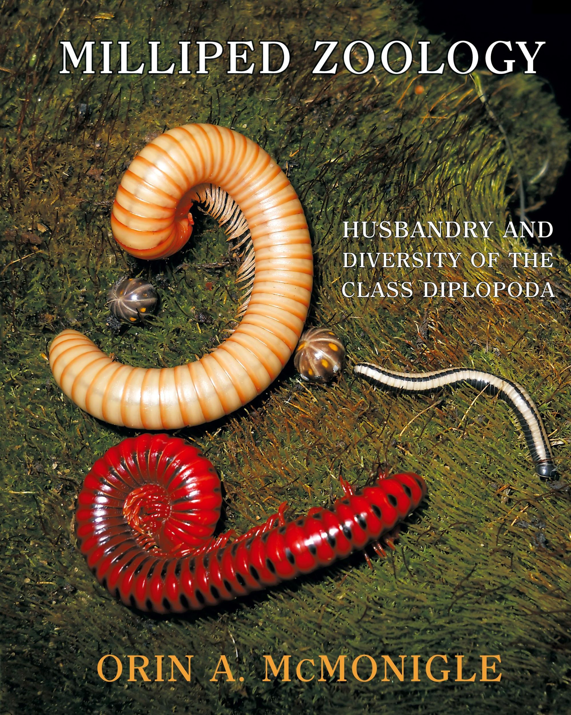 Cover: 9781616465506 | Milliped Zoology | Husbandry and Diversity of the Class Diplopoda