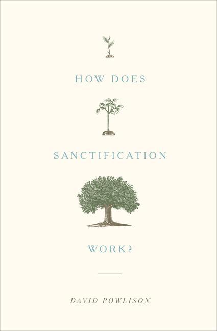 Cover: 9781433556104 | How Does Sanctification Work? | David Powlison | Taschenbuch | 2017