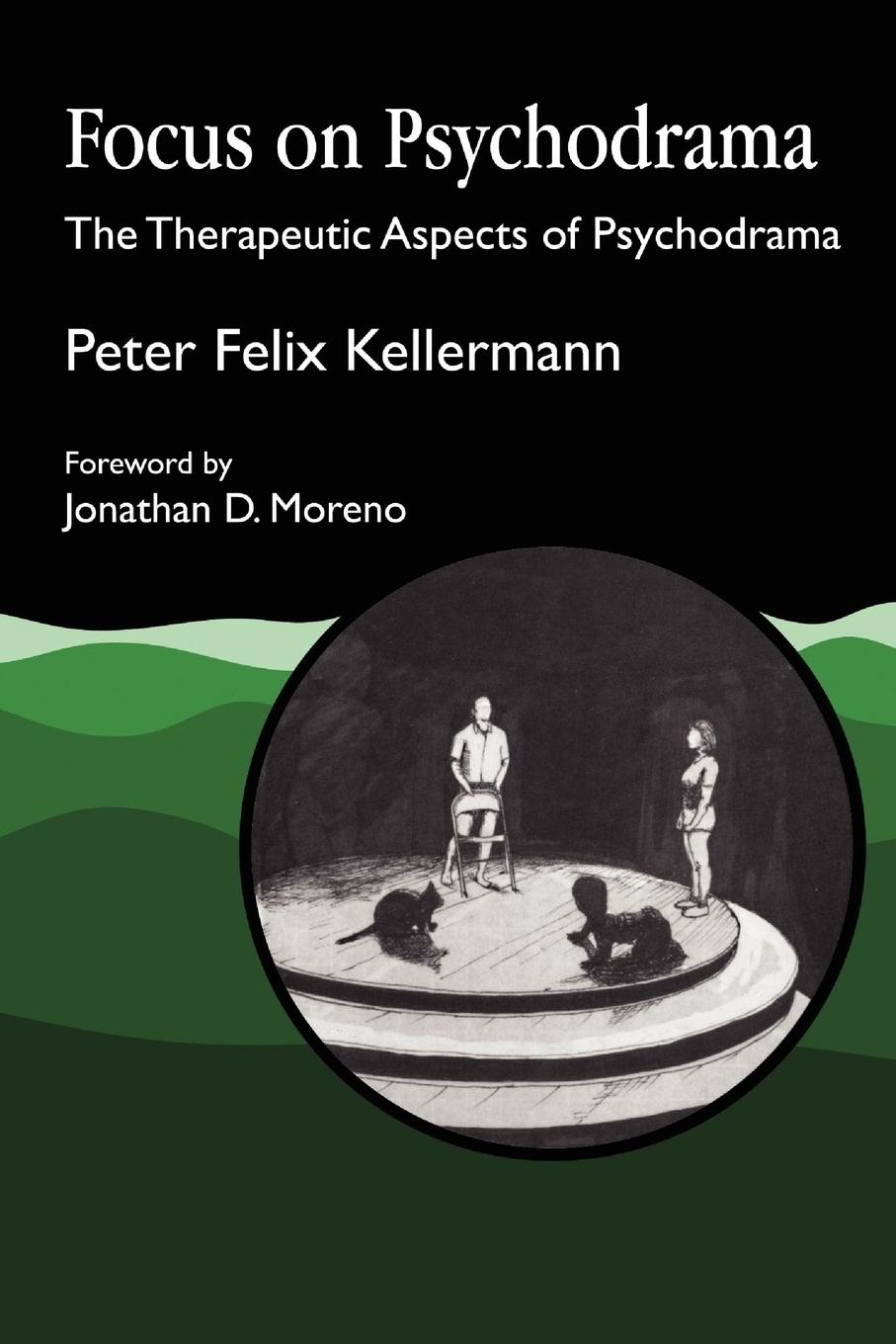 Cover: 9781853021275 | Focus on Psychodrama | The Therapeutic Aspects of Psychodrama | Buch