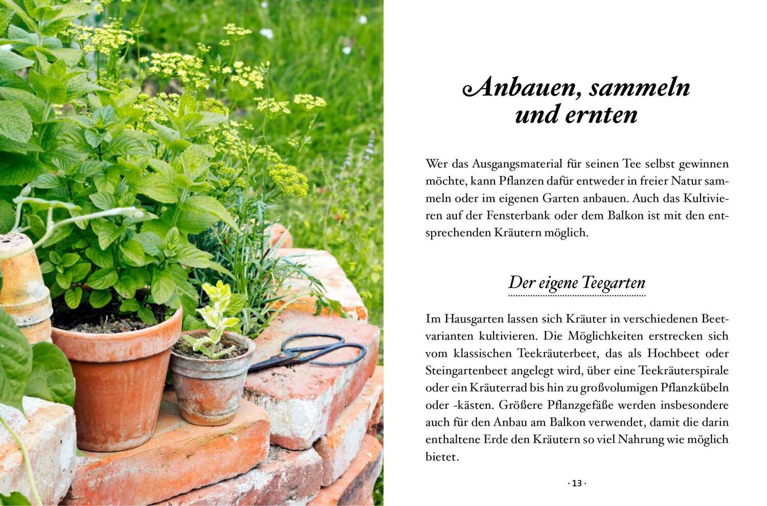 Bild: 9783710402531 | Das kleine Buch: Teegenuss aus Früchten, Blüten und Blättern | Gutjahr