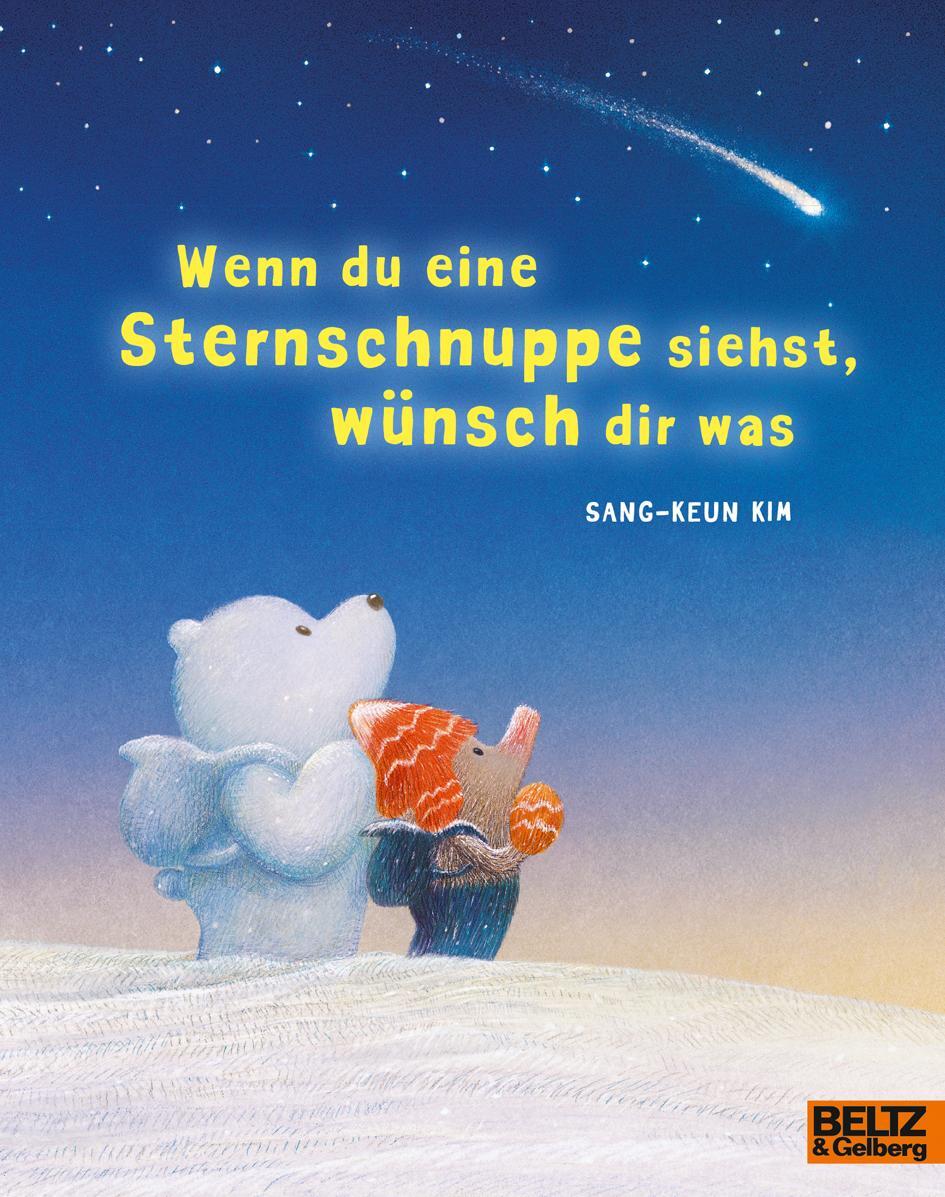 Cover: 9783407762351 | Wenn du eine Sternschnuppe siehst, wünsch dir was | Sang-Keun Kim