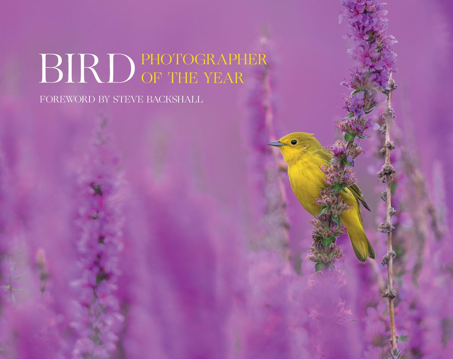 Cover: 9780008547578 | Bird Photographer of the Year | Collection 7 | Year | Buch | Gebunden