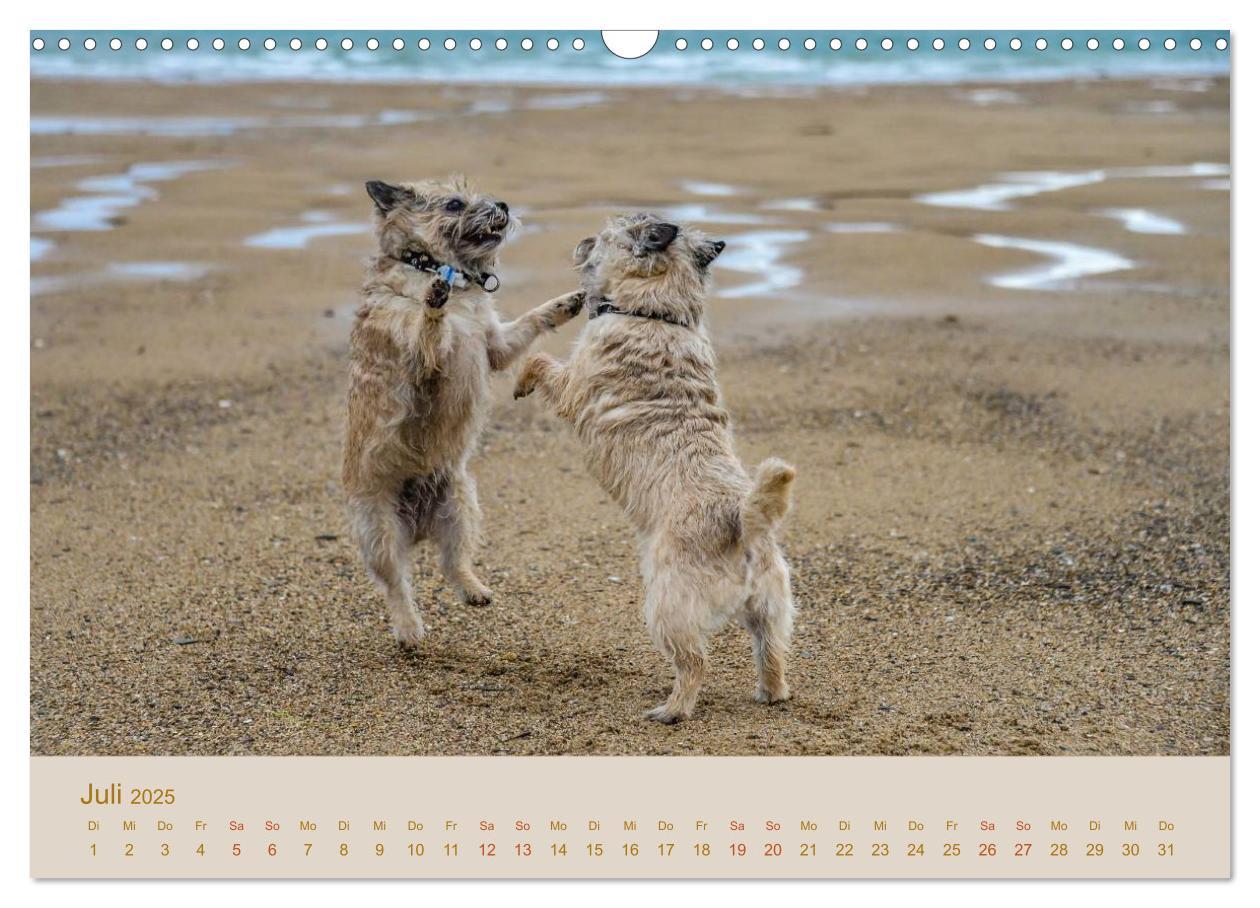 Bild: 9783435518111 | Cairns Forever (Wandkalender 2025 DIN A3 quer), CALVENDO...