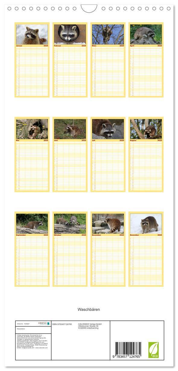 Bild: 9783457124765 | Familienplaner 2025 - Waschbären mit 5 Spalten (Wandkalender, 21 x...