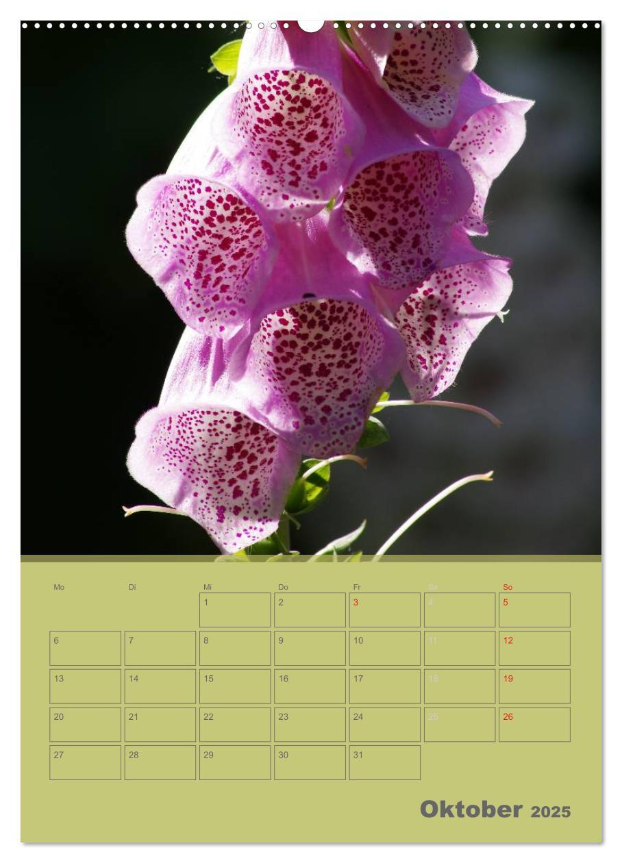 Bild: 9783457087817 | Naturbilder (Wandkalender 2025 DIN A2 hoch), CALVENDO Monatskalender