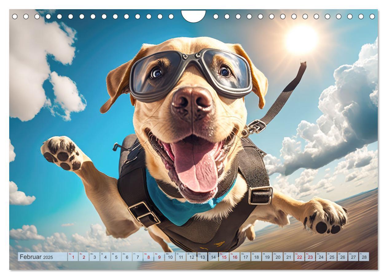 Bild: 9783383867149 | Hunde Skydiving (Wandkalender 2025 DIN A4 quer), CALVENDO...