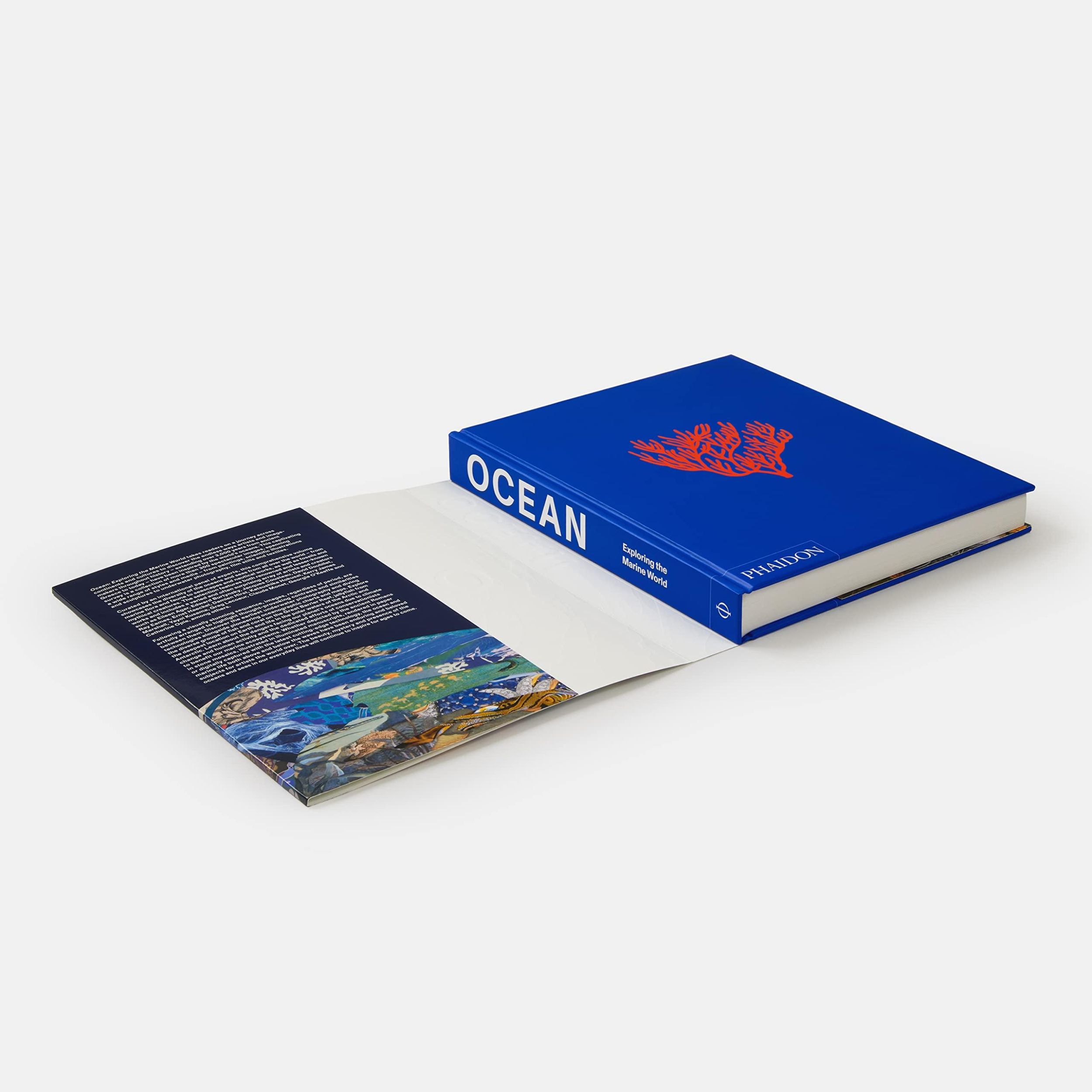 Bild: 9781838664787 | Ocean | Exploring the Marine World | Editors Phaidon (u. a.) | Buch