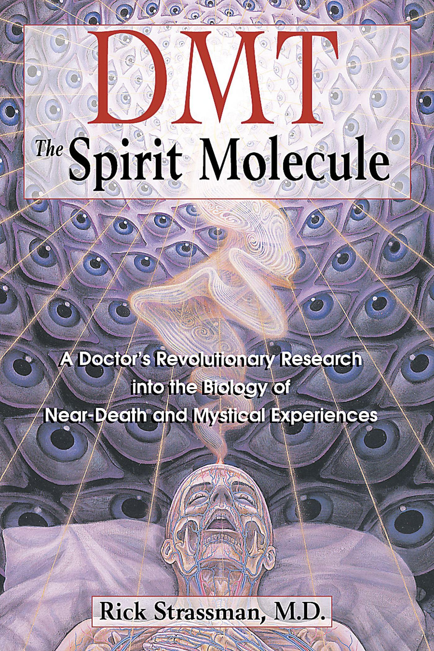 Cover: 9780892819270 | DMT: The Spirit Molecule | Rick Strassman | Taschenbuch | Englisch