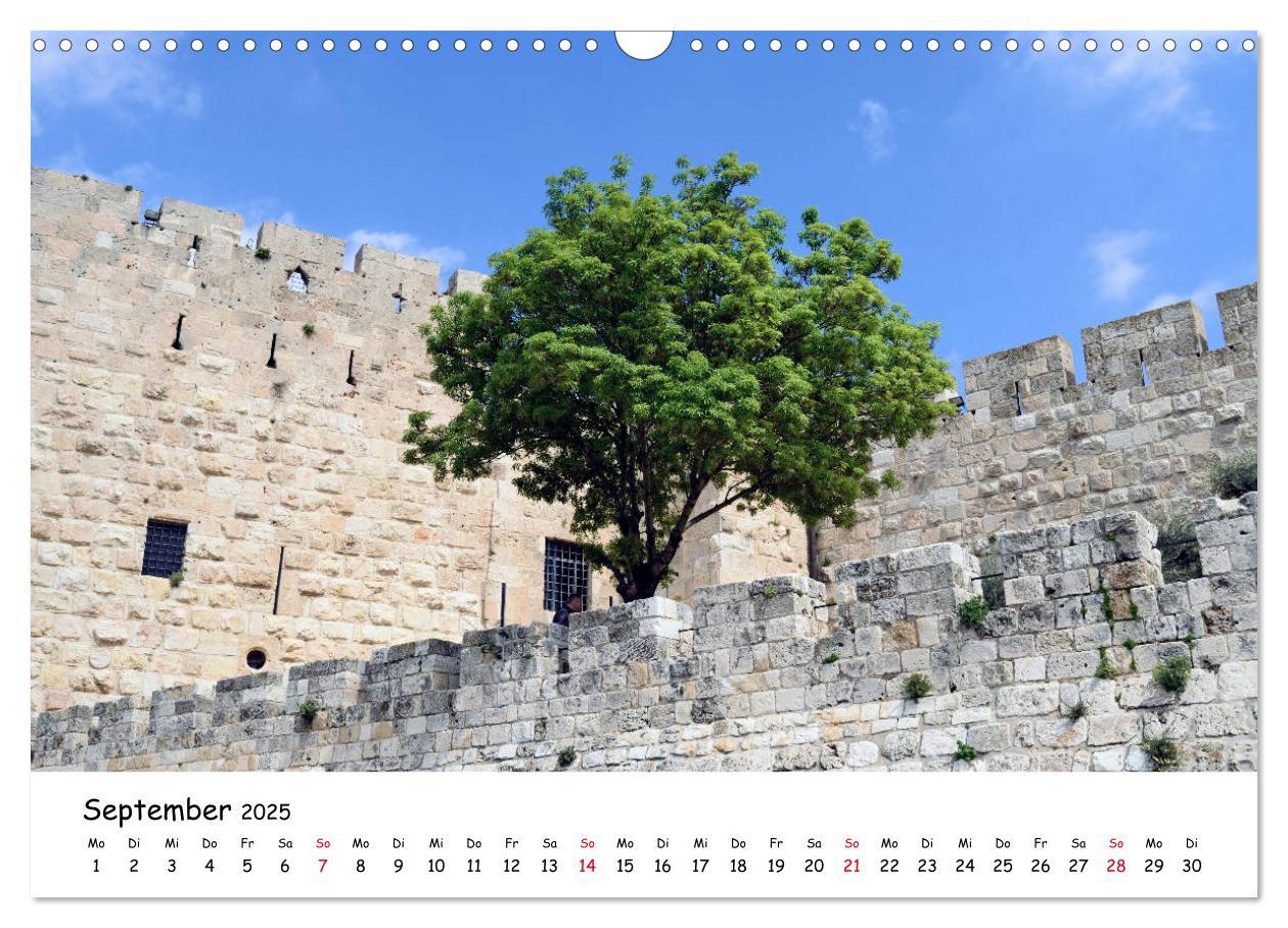 Bild: 9783435208050 | Traumziel Israel (Wandkalender 2025 DIN A3 quer), CALVENDO...