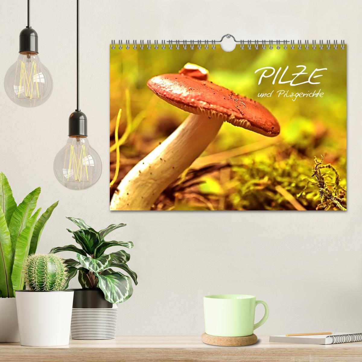 Bild: 9783435505586 | Pilze und Pilzgerichte (Wandkalender 2025 DIN A4 quer), CALVENDO...