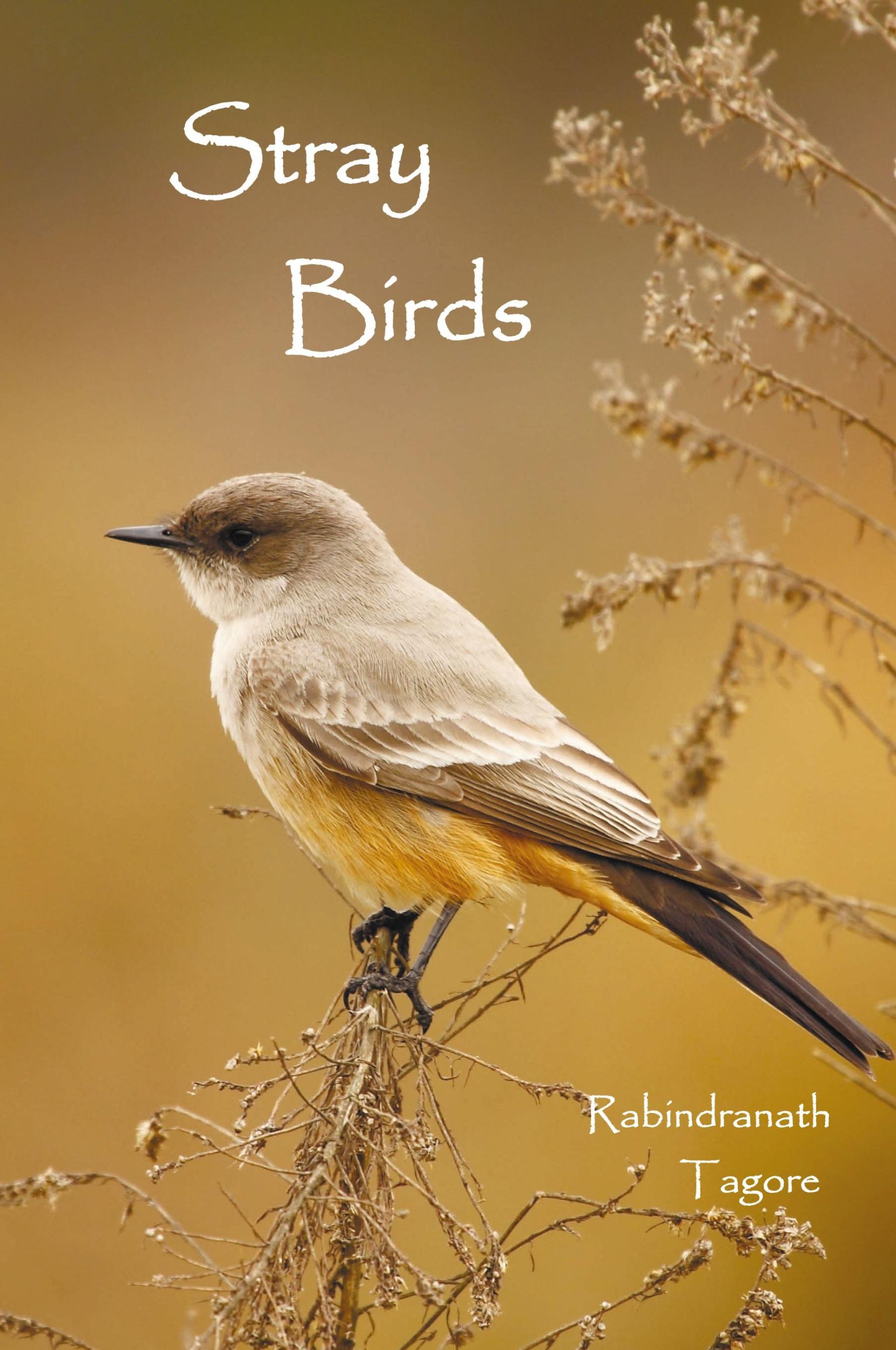 Cover: 9781781392058 | Stray Birds | Rabindranath Tagore | Buch | Englisch | 2012