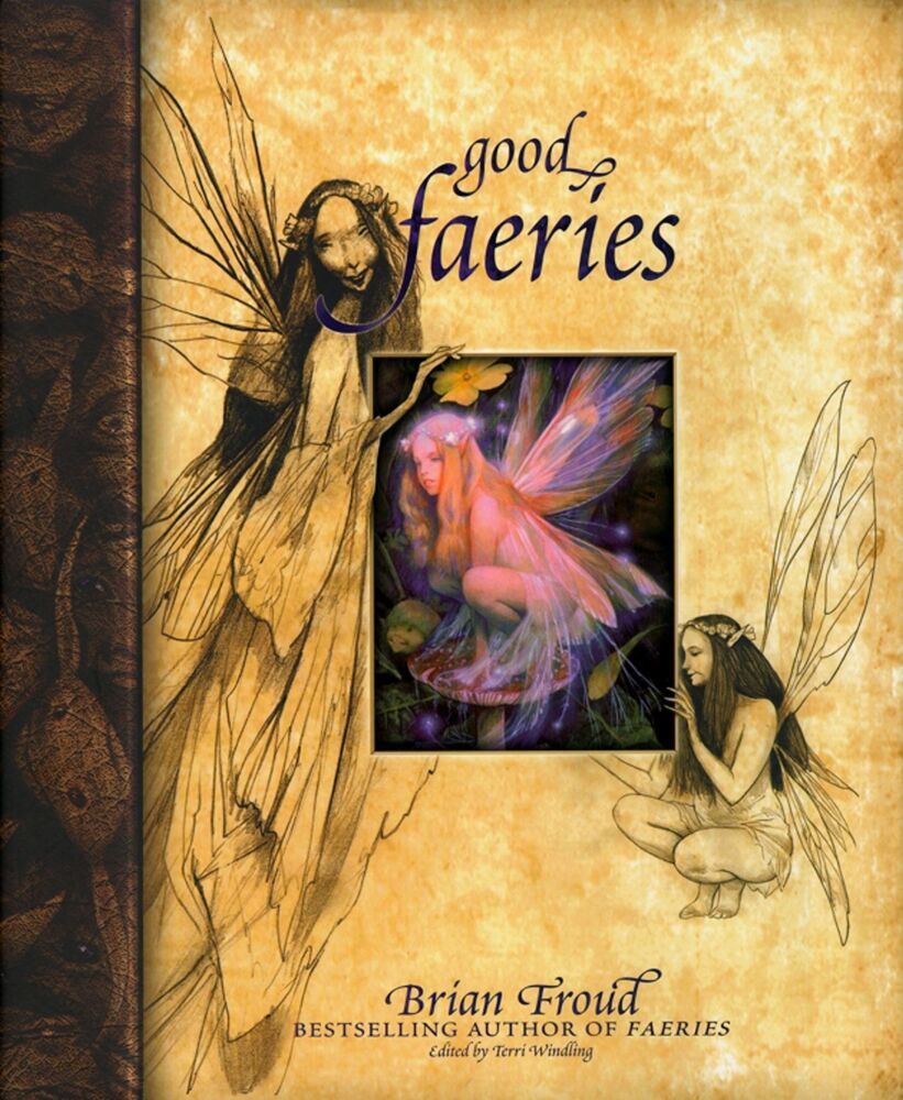 Cover: 9780684847818 | Good Faeries, Bad Faeries | 2 Books in 1 | Brian Froud | Buch | 2009