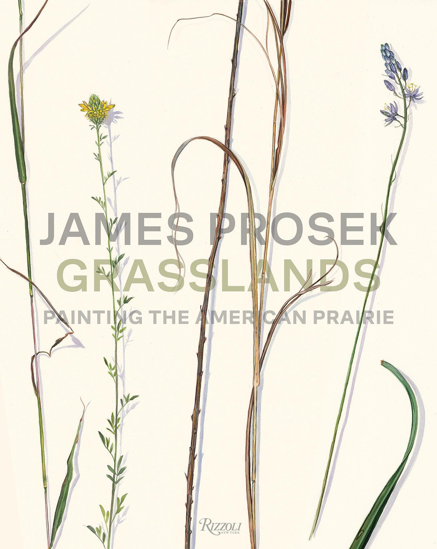 Cover: 9780847830565 | James Prosek Grasslands | Painting the American Prairie | James Prosek