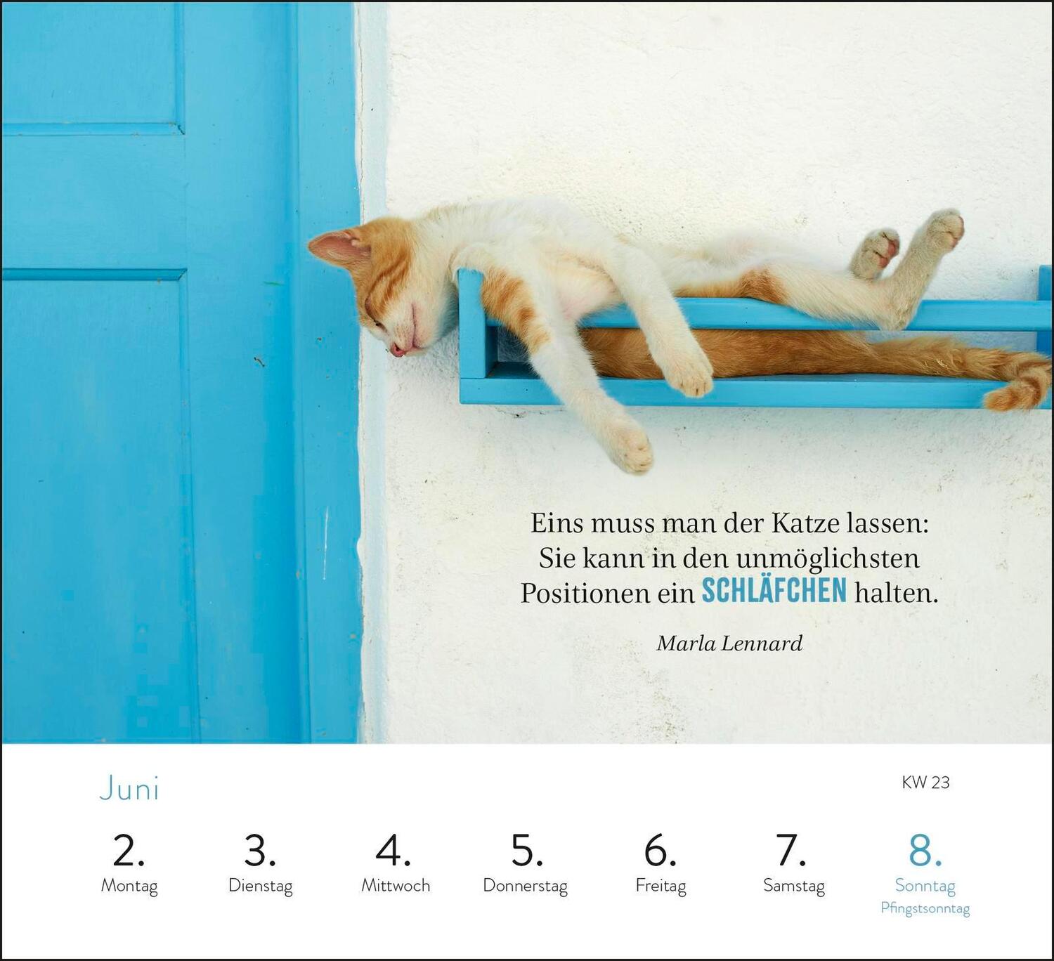 Bild: 4036442012017 | Wochenkalender 2025: Kluge Katzen | Kathrin Schmoll | Kalender | 2025