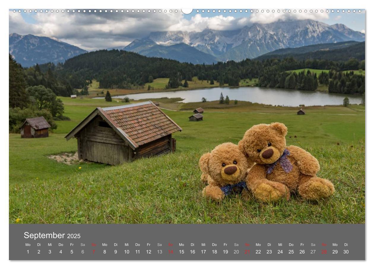 Bild: 9783435490356 | Travelling Teddy 2025 (hochwertiger Premium Wandkalender 2025 DIN...