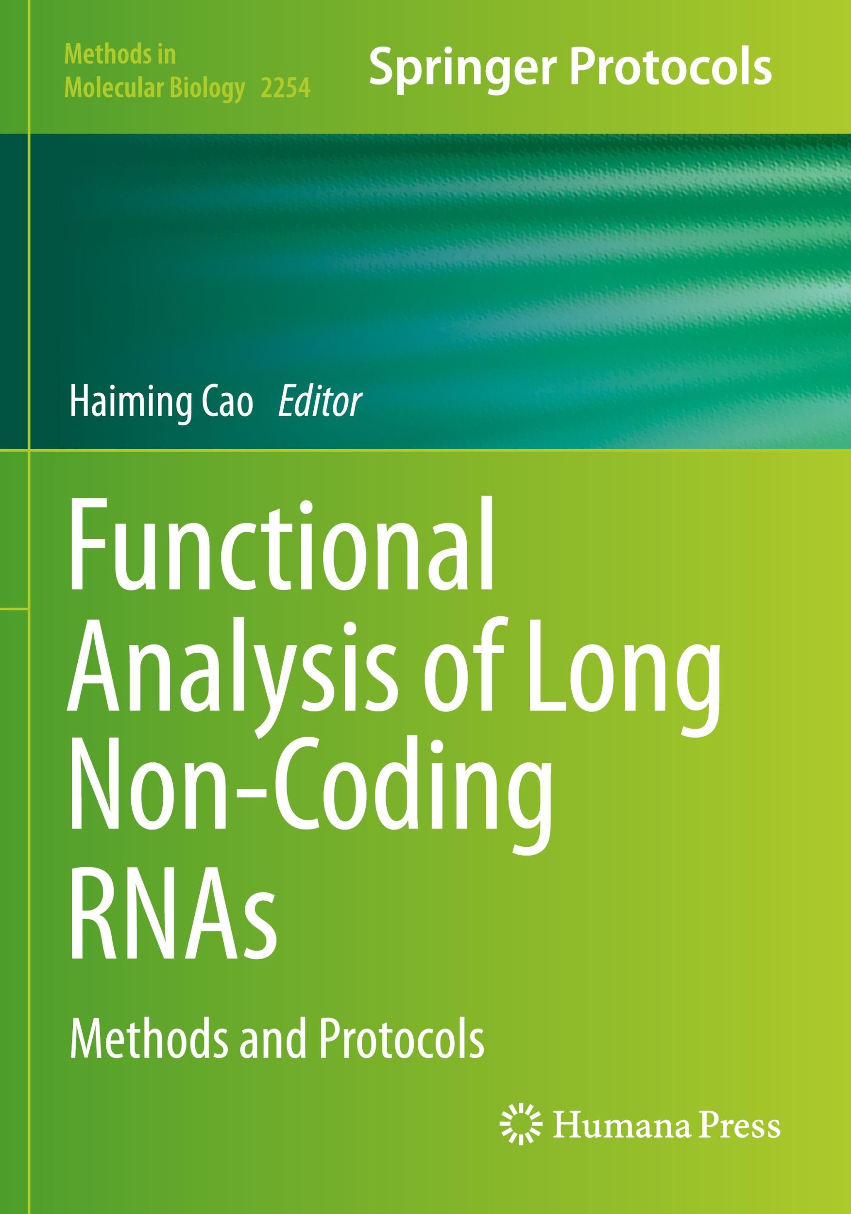 Cover: 9781071611609 | Functional Analysis of Long Non-Coding RNAs | Methods and Protocols