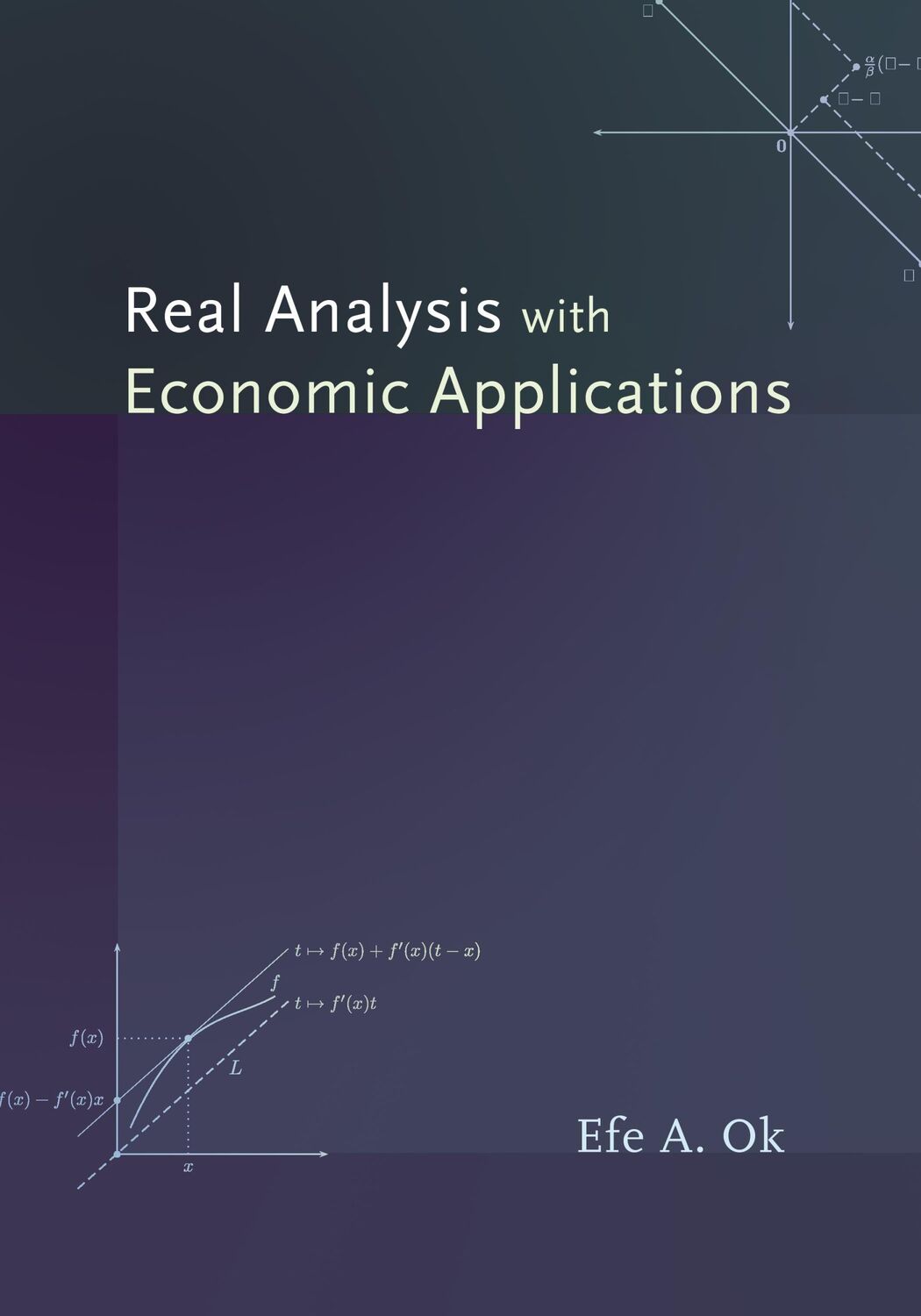 Cover: 9780691117683 | Real Analysis with Economic Applications | Efe A Ok | Buch | Englisch