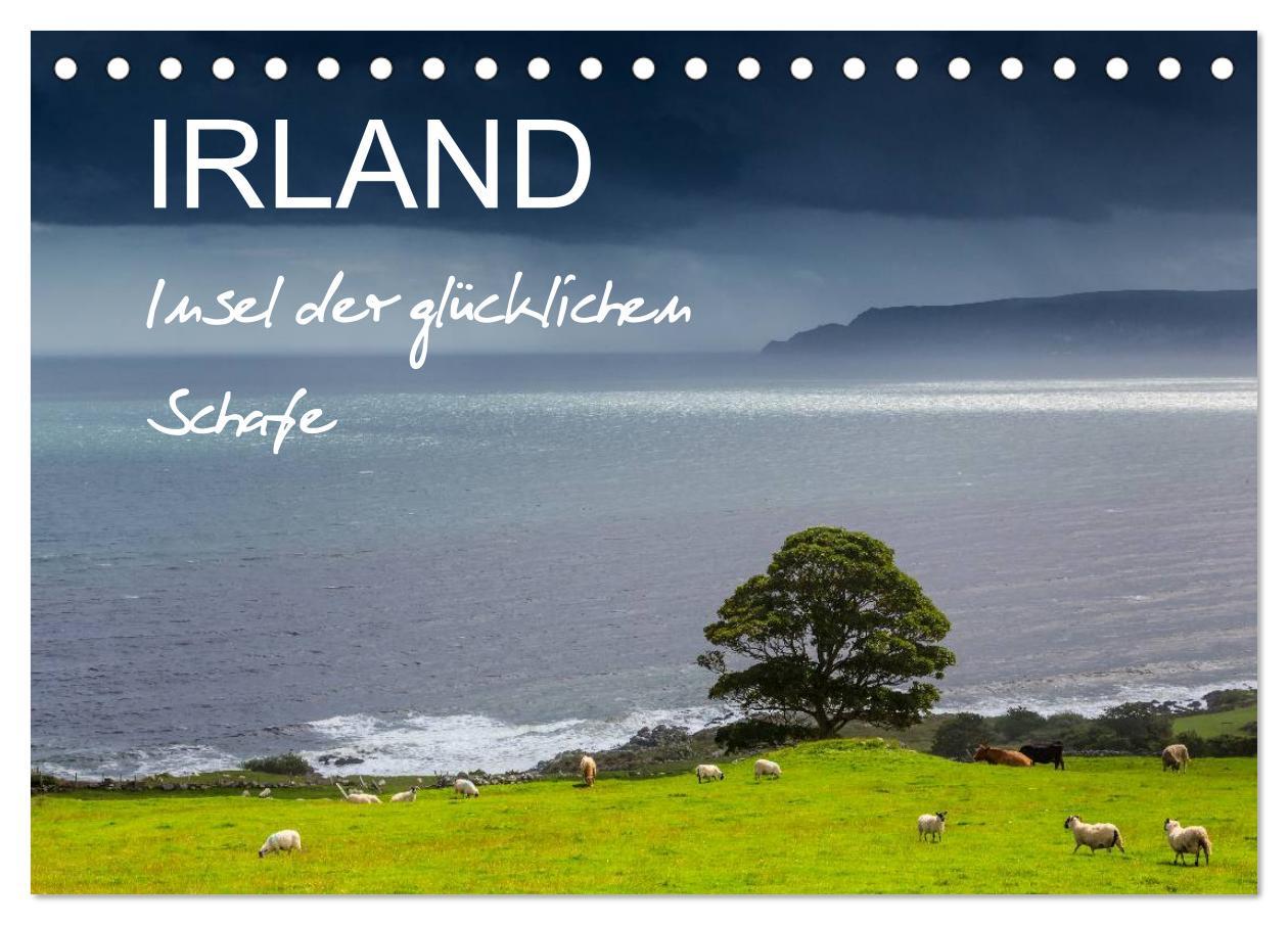 Cover: 9783435679430 | IRLAND - Insel der glücklichen Schafe (Tischkalender 2025 DIN A5...