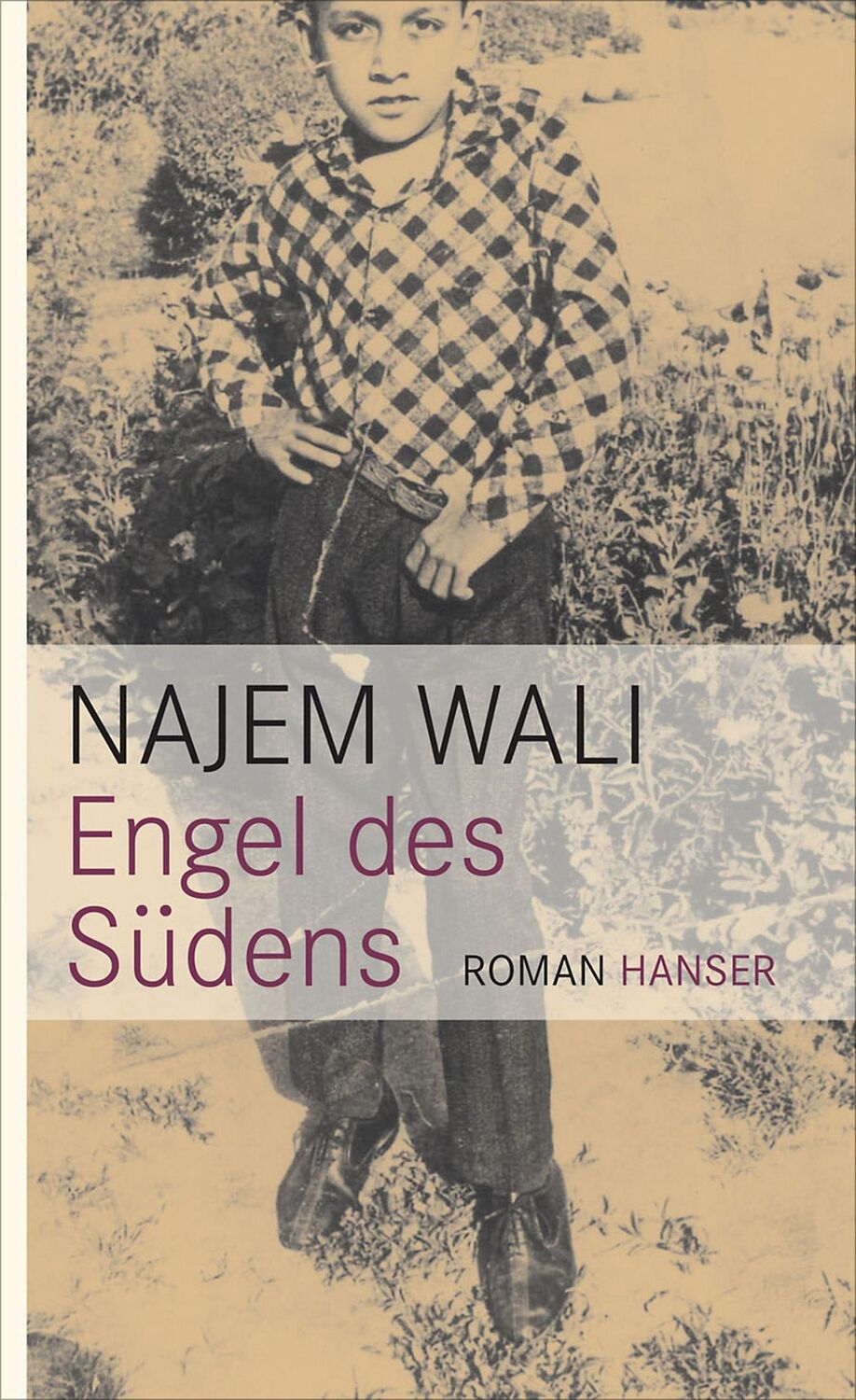 Cover: 9783446253261 | Engel des Südens | Roman | Najem Wali | Taschenbuch | Paperback | 2011