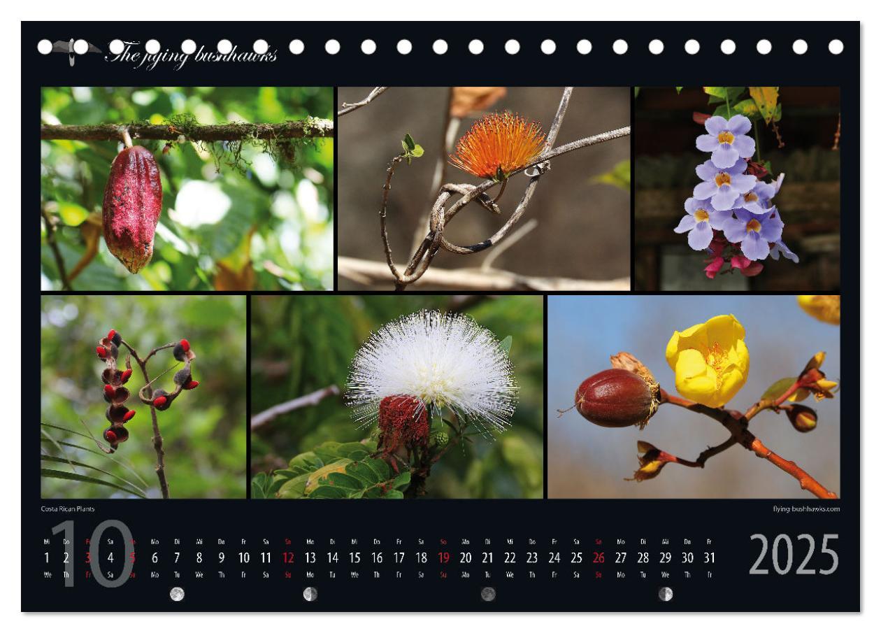 Bild: 9783383815362 | Costa Rica Blickwinkel 2025 (Tischkalender 2025 DIN A5 quer),...