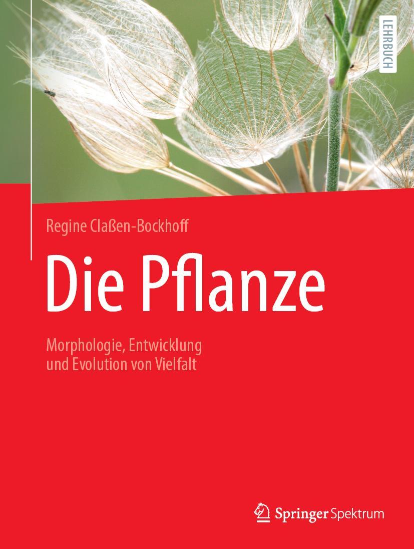 Cover: 9783662654422 | Die Pflanze | Morphologie, Entwicklung und Evolution von Vielfalt