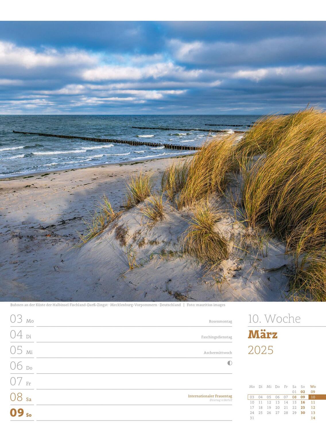 Bild: 9783838435039 | Am Meer - Wochenplaner Kalender 2025 | Ackermann Kunstverlag | 56 S.