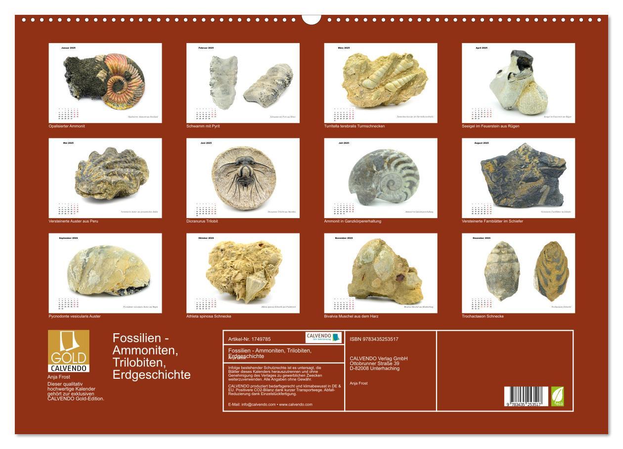 Bild: 9783435253517 | Fossilien - Ammoniten, Trilobiten, Erdgeschichte (Wandkalender 2025...