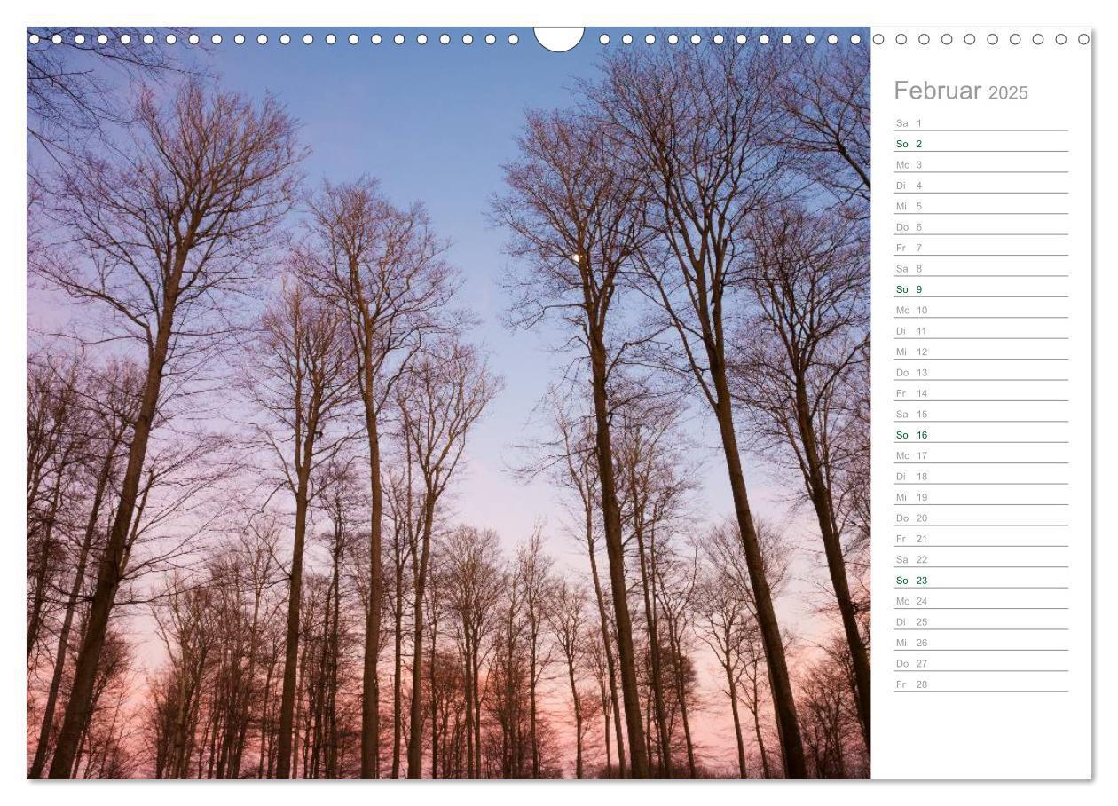 Bild: 9783435542369 | Im Deutschen Wald 2025 - ein Notizkalender (Wandkalender 2025 DIN...