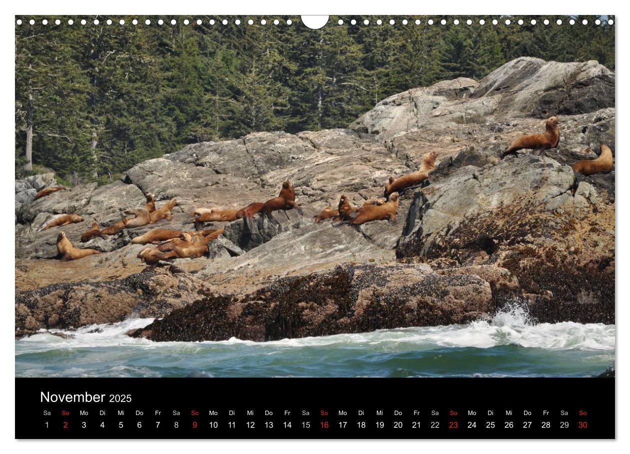 Bild: 9783435769728 | Vancouver und Vancouver Island 2025 (Wandkalender 2025 DIN A3...