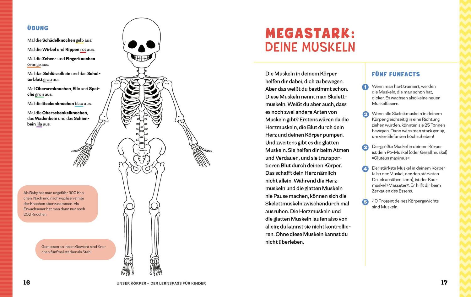 Bild: 9783969050699 | Unser Körper | Anatomie-Malbuch. Der Lern- und Malspaß für Kinder ab 3