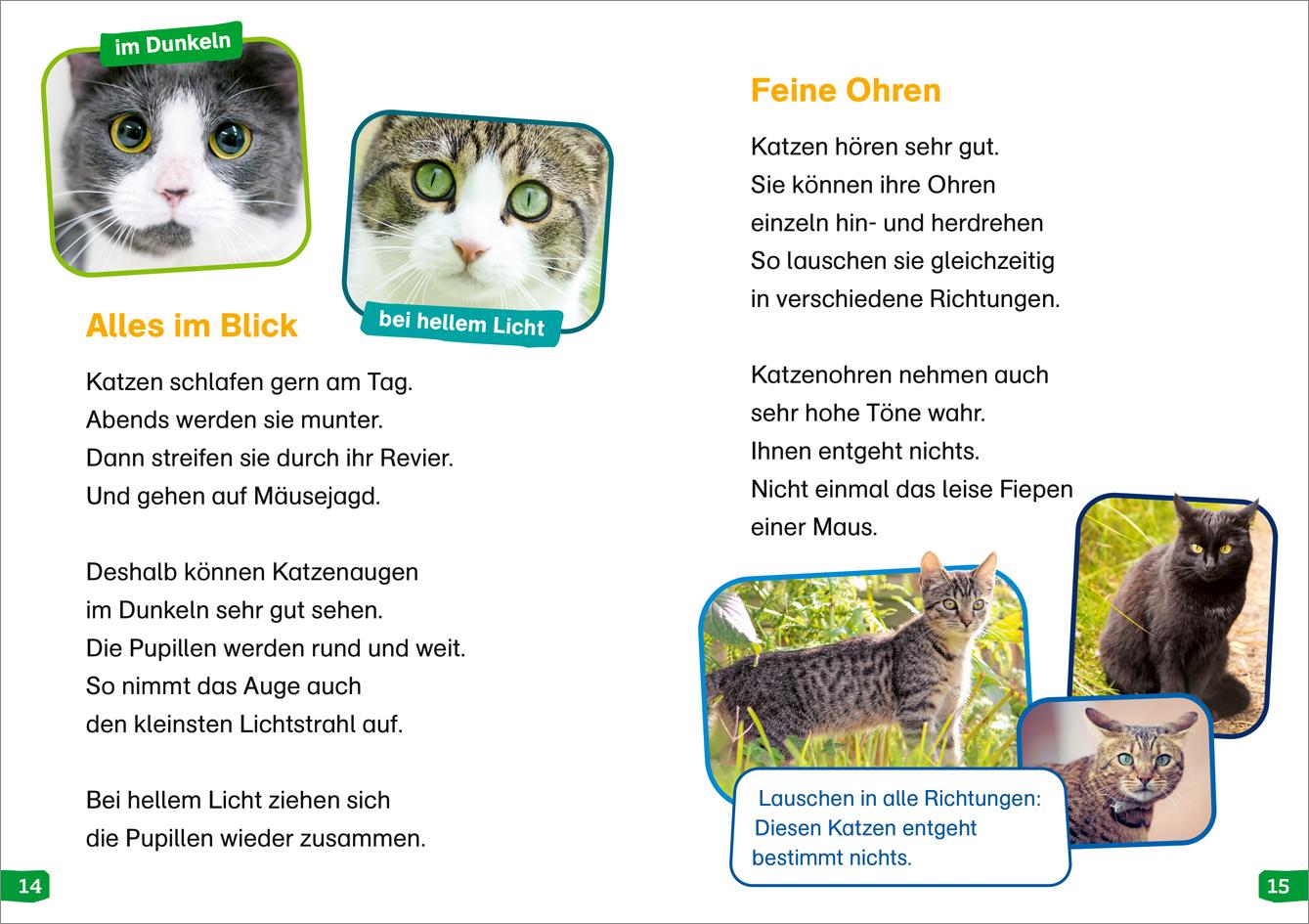 Bild: 9783788677282 | WAS IST WAS Erstes Lesen easy! Band 10. Katzen - meine Lieblingstiere