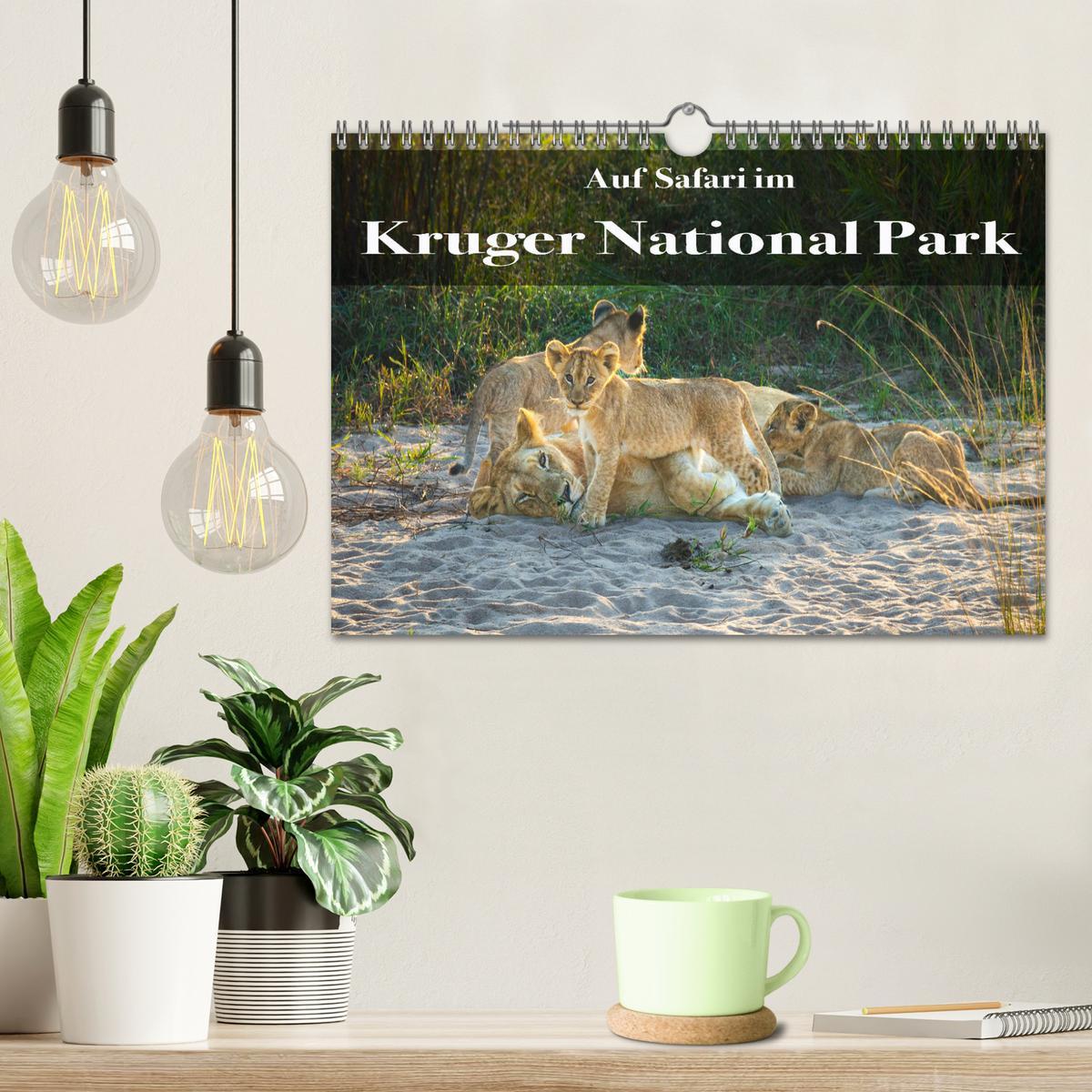 Bild: 9783383967399 | Auf Safari im Kruger National Park (Wandkalender 2025 DIN A4 quer),...