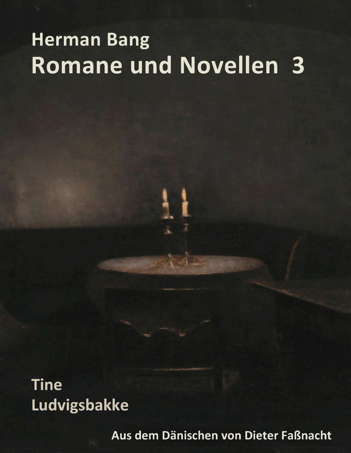 Cover: 9783741220050 | Herman Bang Romane und Novellen Band 3 | Dieter Faßnacht | Buch | 2016