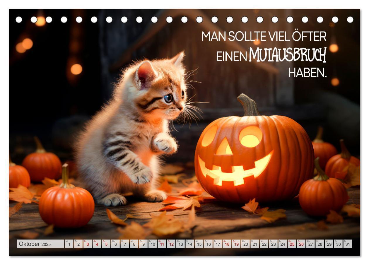 Bild: 9783383772047 | KATZEN-IRONIE Lach mal wieder (Tischkalender 2025 DIN A5 quer),...