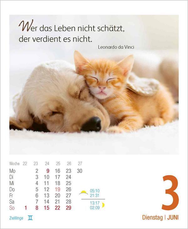 Bild: 9783731880578 | Genieße jeden Augenblick 2025 | Verlag Korsch | Kalender | 328 S.