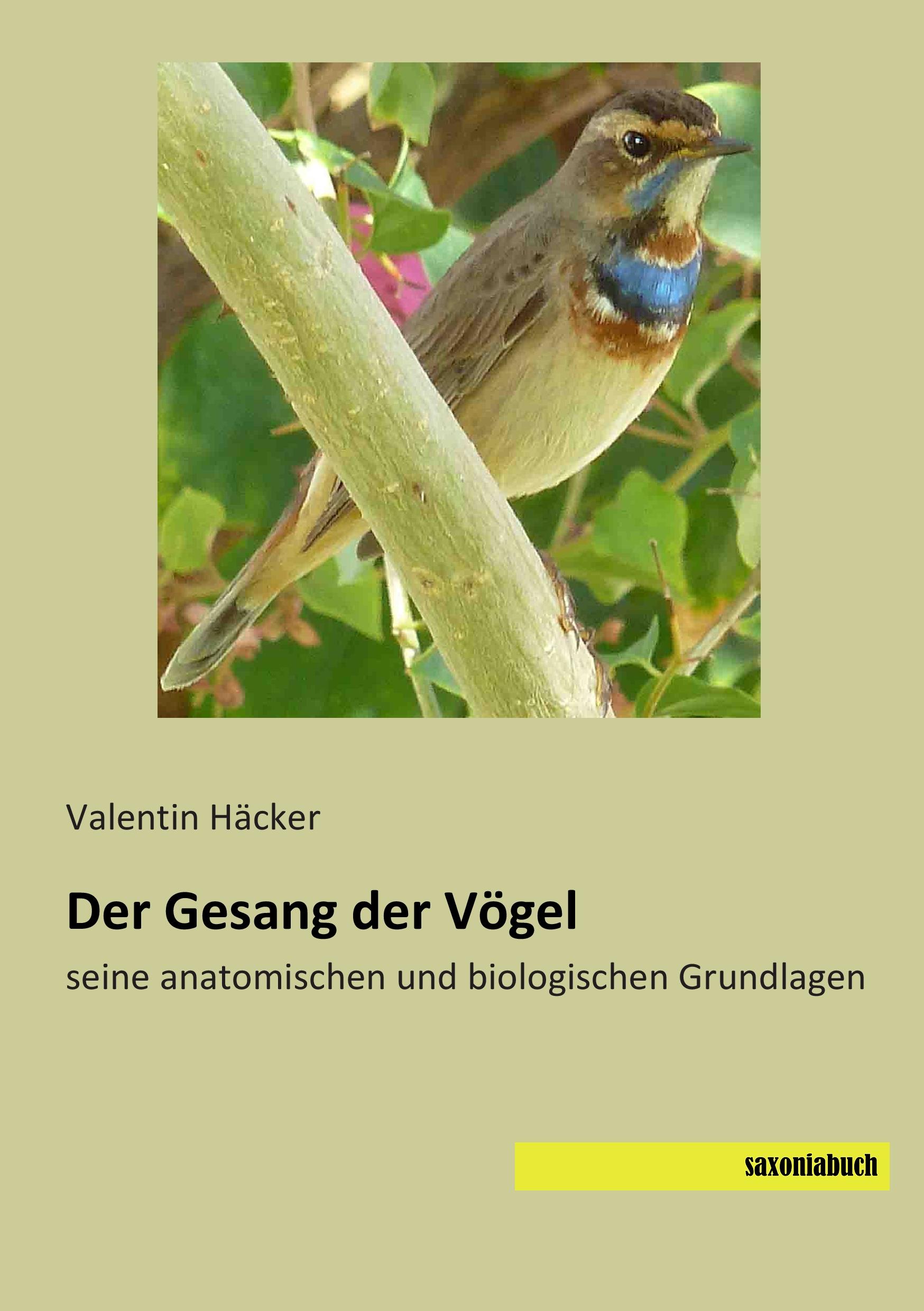 Cover: 9783957700858 | Der Gesang der Vögel | seine anatomischen und biologischen Grundlagen