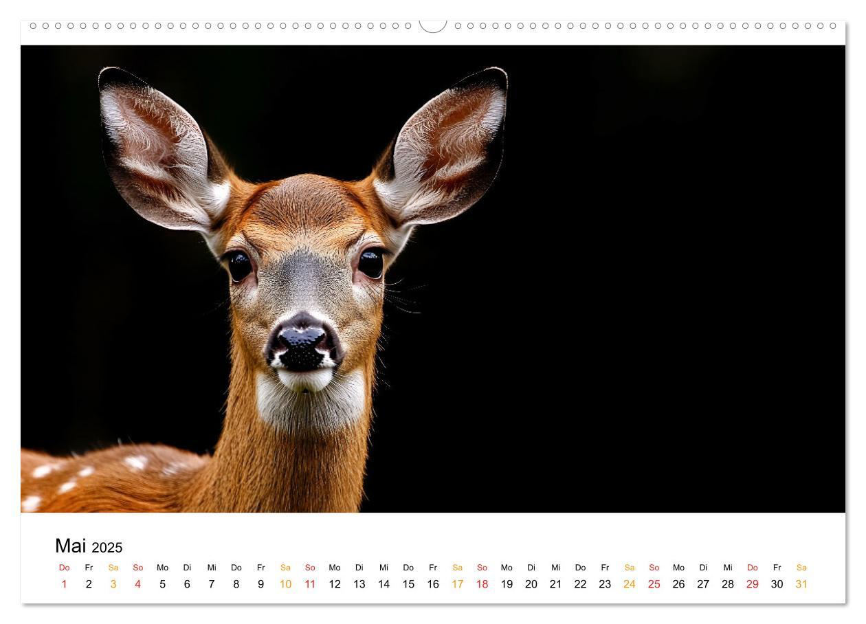 Bild: 9783457223260 | Wilde Heimat - Tiere unserer Natur (Wandkalender 2025 DIN A2 quer),...