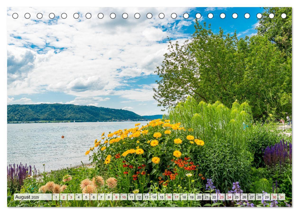 Bild: 9783435070886 | Traumhafter Bodensee (Tischkalender 2025 DIN A5 quer), CALVENDO...