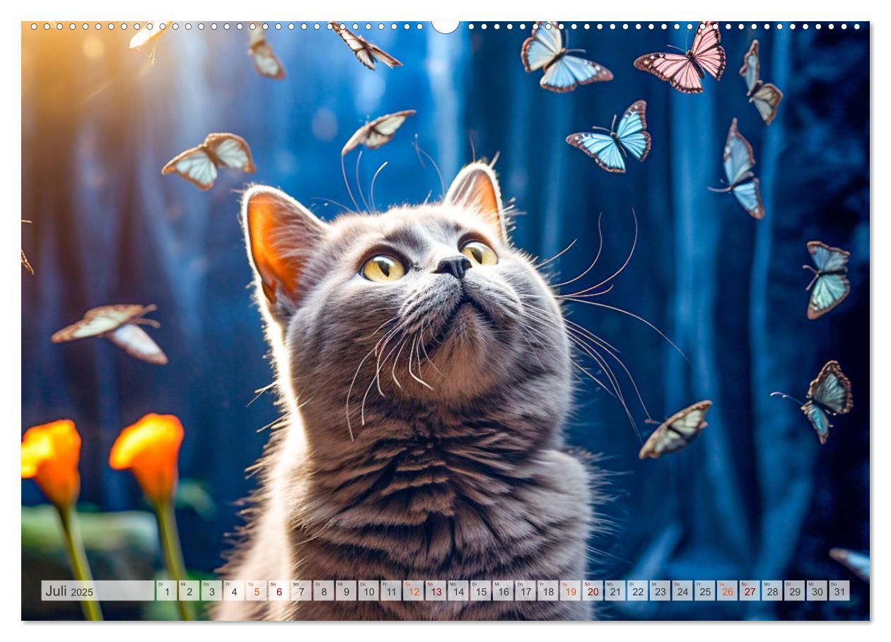 Bild: 9783383862618 | Die Katze und der Schmetterling (Wandkalender 2025 DIN A2 quer),...